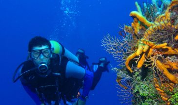 Scuba Diving Tour From Alanya